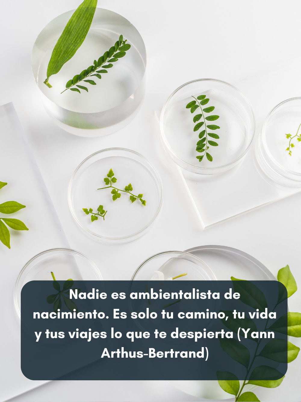 Estudio y conservación de la naturaleza en recipientes de laboratorio