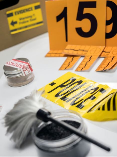 Material para la interpretación de la escena del crimen